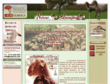 Tablet Screenshot of anguirra.com